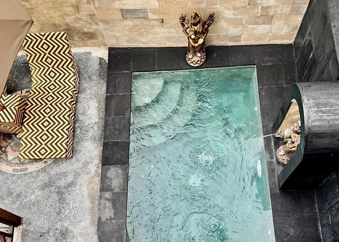 Astonishing Jungle With Pool In