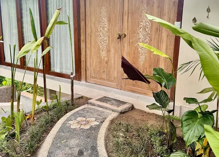 Astonishing Jungle With Pool In *
