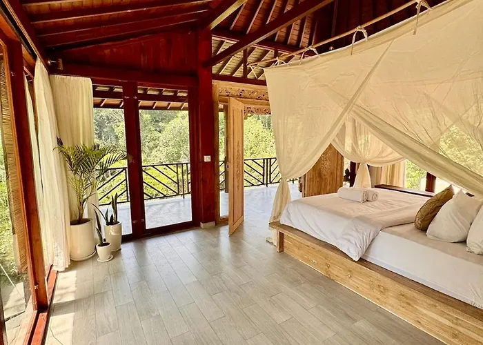Astonishing Jungle With Pool In *